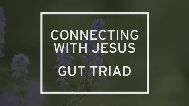 “Connecting to Jesus: Gut Triad” is written over a few lavender flowers.