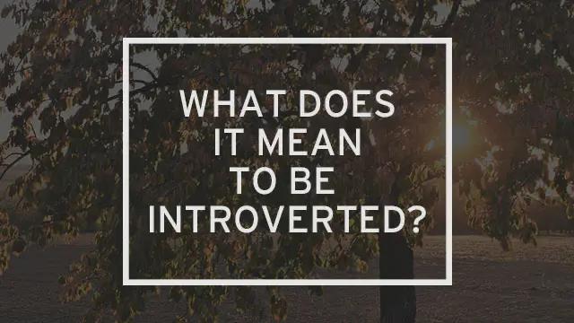 A tree in the background with text overlaying it that reads "What Does it Mean to Be Introverted?"